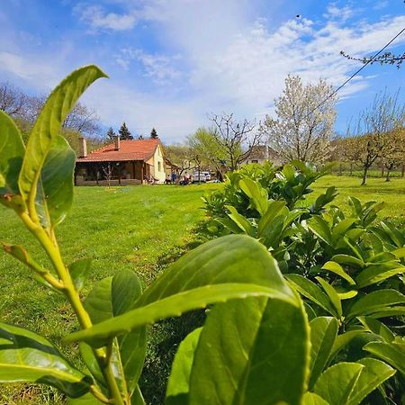 Fruska House Villa Besenovacki Prnjavor Bagian luar foto