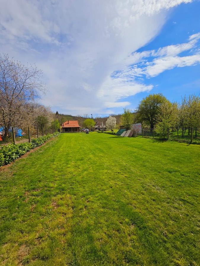 Fruska House Villa Besenovacki Prnjavor Bagian luar foto
