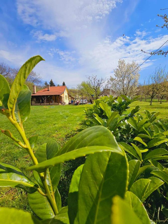 Fruska House Villa Besenovacki Prnjavor Bagian luar foto