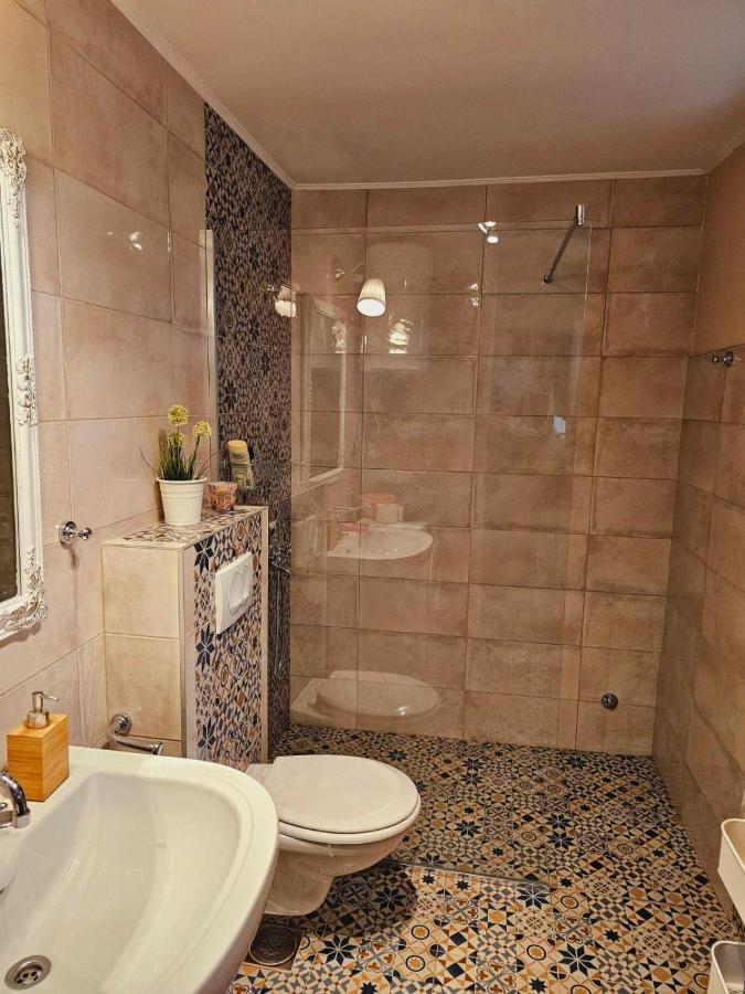 Fruska House Villa Besenovacki Prnjavor Bagian luar foto